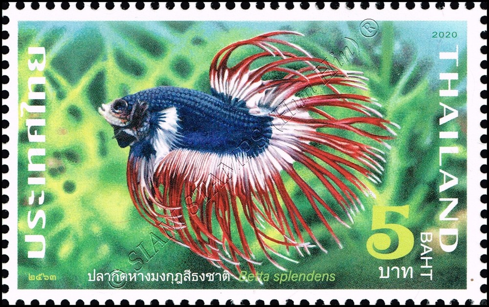 Fighting Fish (II) -A 13 1/4- (MNH)
