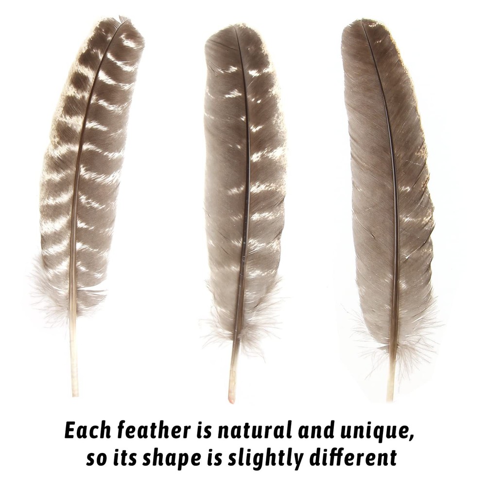 CCINEE 15pcs Natural Turkey Feather, 10-11 Feathers