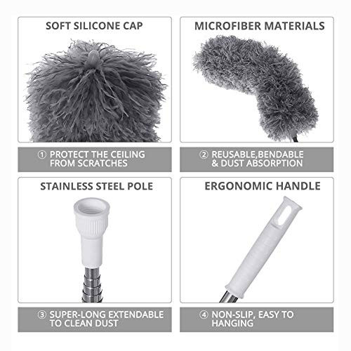Webster Cobweb Duster, Feather Duster for Home, Extendable Dusters for