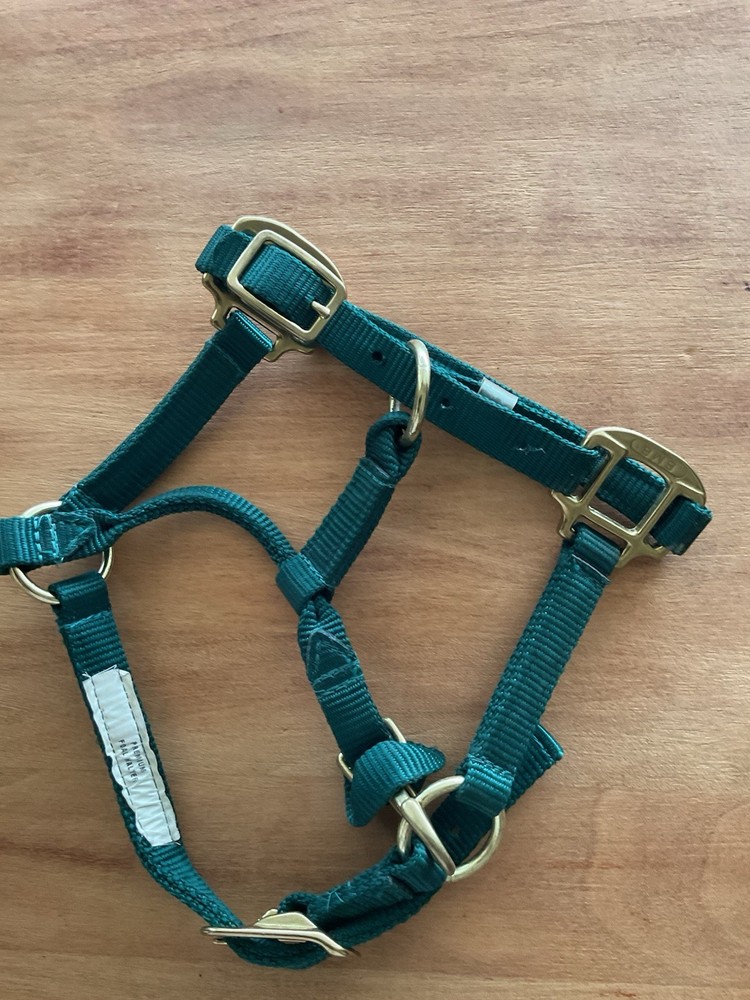 BMB Nylon Foal Halter Green Adjustable Brass Hardware
