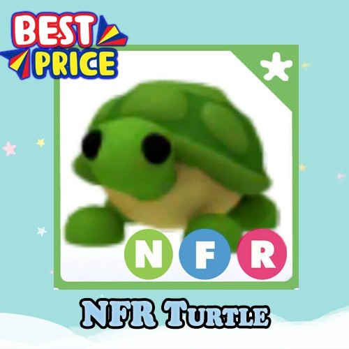 NFR Turtle - Adopt right now