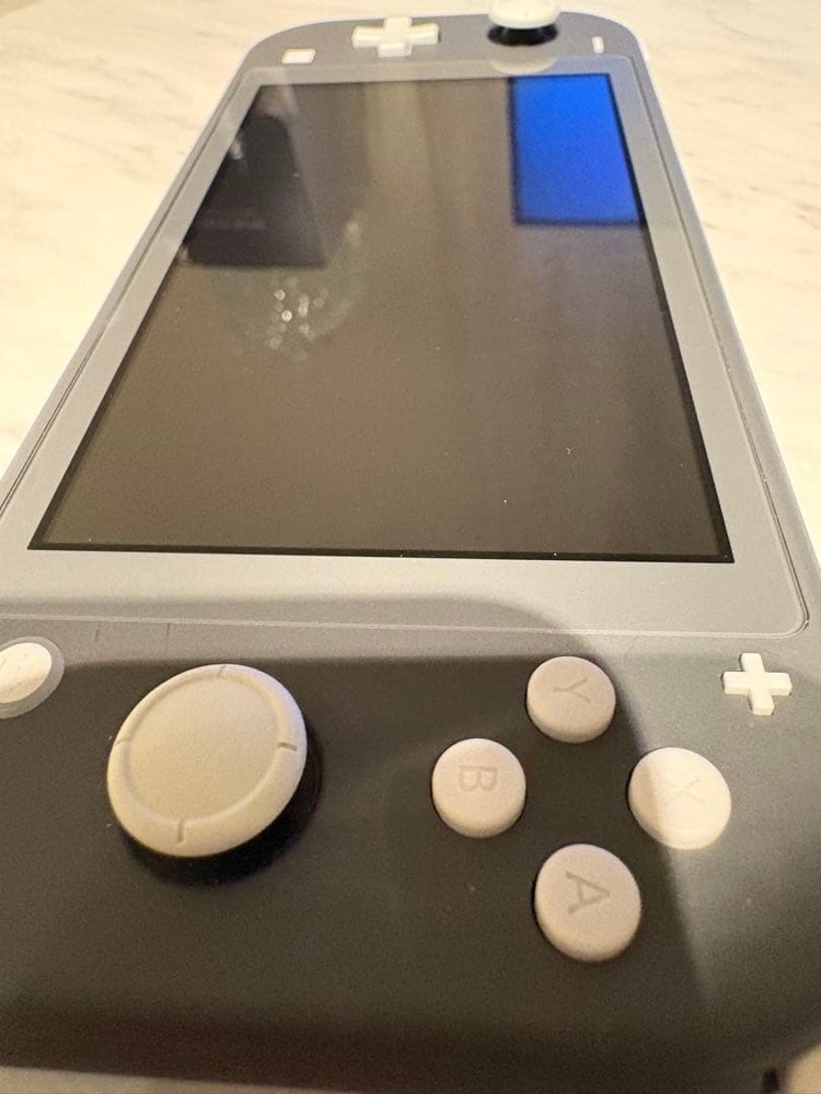 Nintendo Switch Lite Console Dragon Ball Fighters