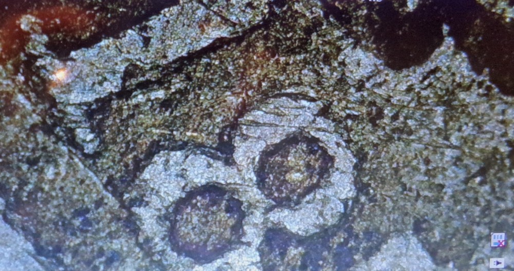 1858 FLYING EAGLE CENT COPPER-NICKEL WITH POSSIBLE ERROR ON DATE G/VG COND