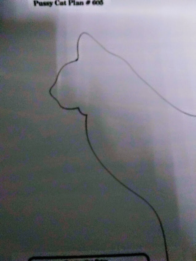 Blueprint Plan For Yard Shadow CAT