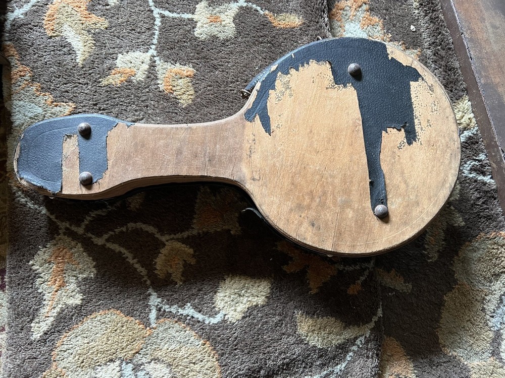 Regina 8-String Banjo 1920s with case