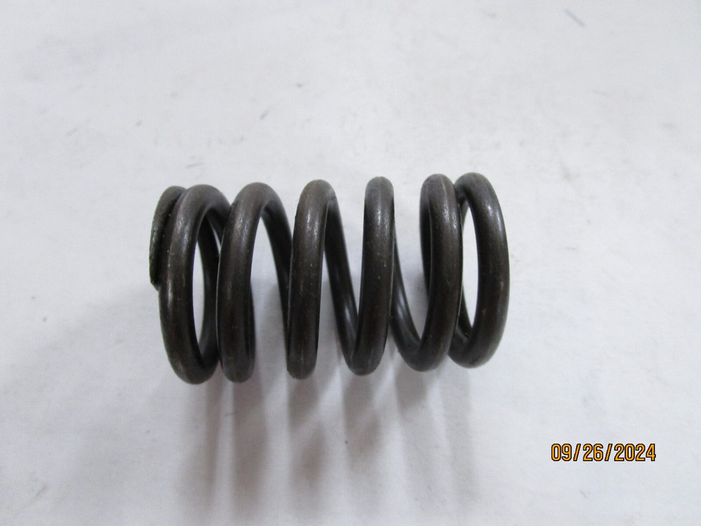 Engine Valve Spring Sealed Power VS-1563