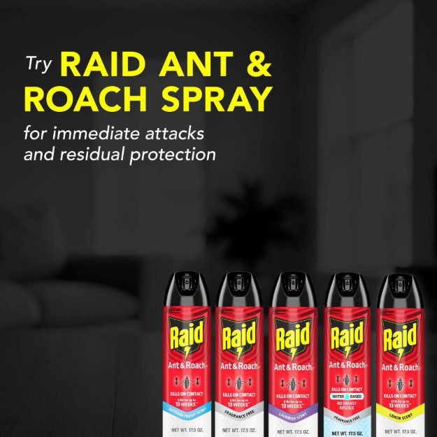 Raid Defend Ant and Roach Insect Killer, Indoor Insecticide, 20 oz. (2-Pack)