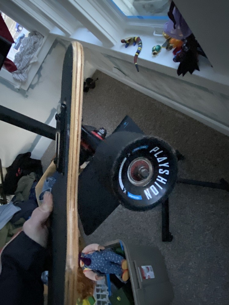 Playshion Tiger 39" Beginners Drop Through Longboard Skateboard