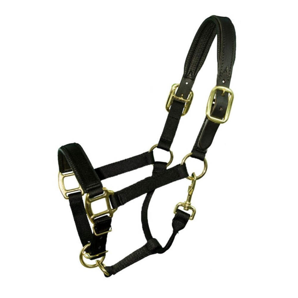 Intrepid Chafeless Padded Breakaway Halter