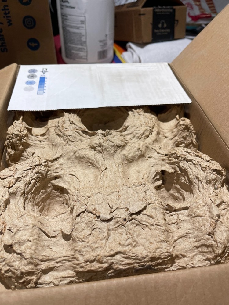 InSinkErator Evolution 5/8hp Garbage Disposal - Quiet Series - Lift & Latch