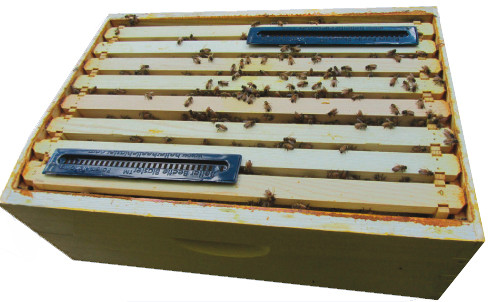 Beetle Snatcher Baitable Beetle Trap 10X Pack - FREE SHIPPING!