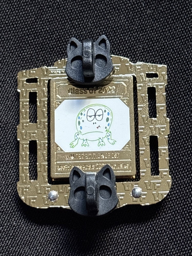 Veefriends Koala Case Tranquil Toad Limited /167 Spinner Collectible Pin