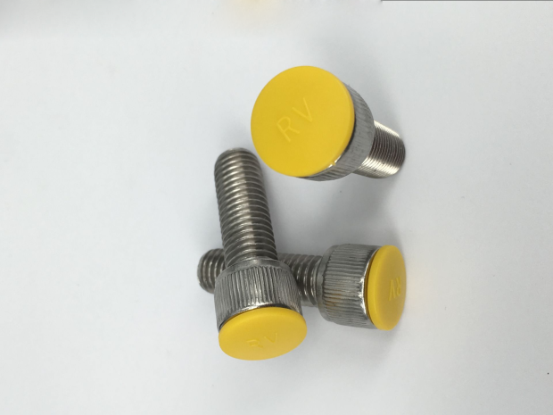 M8 Hex Socket Allen Bolt Screw Nut Hexagon Head Cover Cap Protector 40PCS