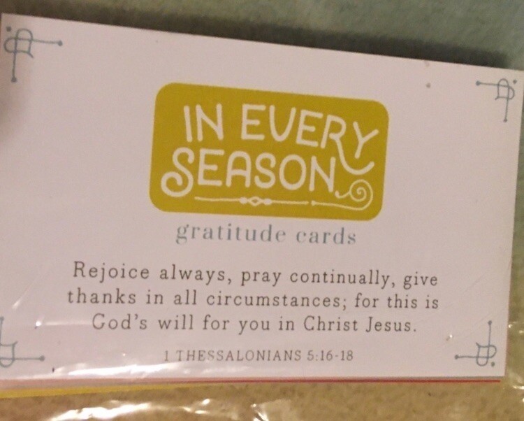 In Every Season Gratitude Cards