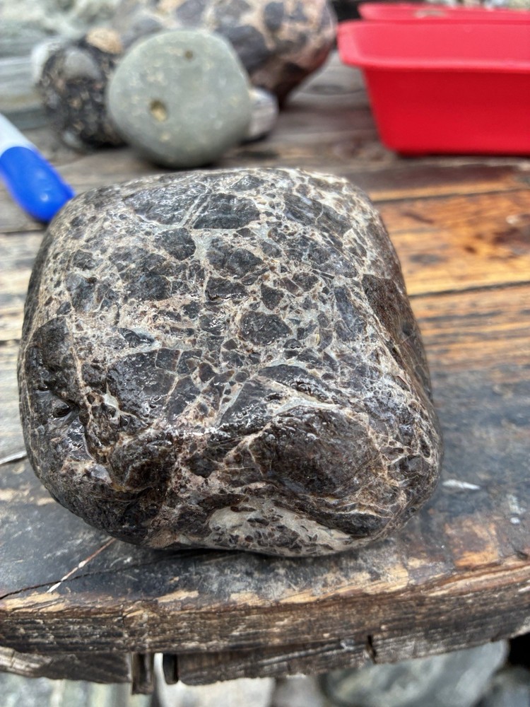Rocks for Tumbling  Lapidary Material Rough