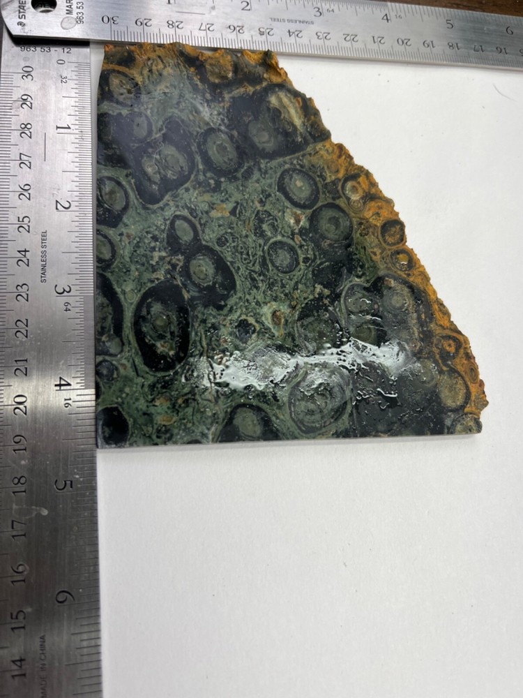 Kambaba, Kabamba, Jasper Stromatolite Slab 128 grams