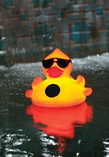 8002 GAME Derby Duck Solar Light Up Pool Chlorinator for 3" Tablets, Solar Panel