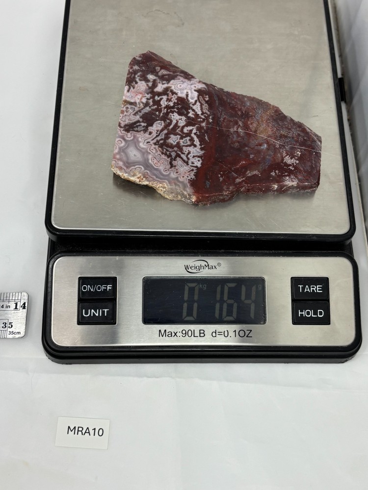 Mexican Red Moss Agate Slabs Lapidary Cabbing Combo Ship Avail