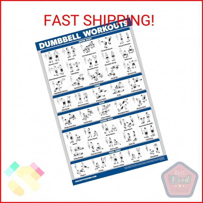 Palace Learning Dumbbell Workout Exercise Poster - Free Weight Body Building Gui