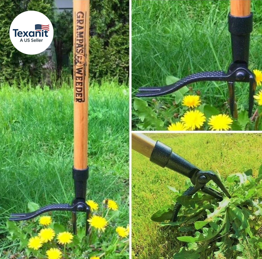 - the Original Stand up Weed Puller Tool with Long Handle - Made with Real Bambo