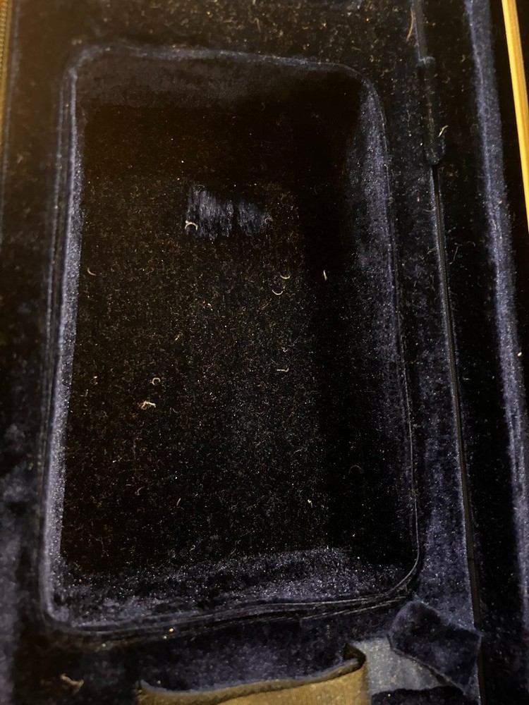 Maestro violin with two bows