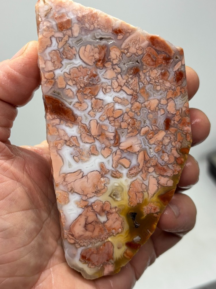 Cotton Candy Agate Slab Cabbing Lapidary Collecting Combo Ship Avail