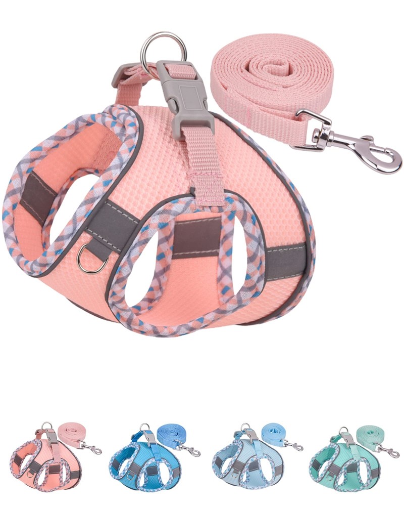No-Pull Dog Harness for Small to Medium Dogs - Easy Walk Harness for Walking ...