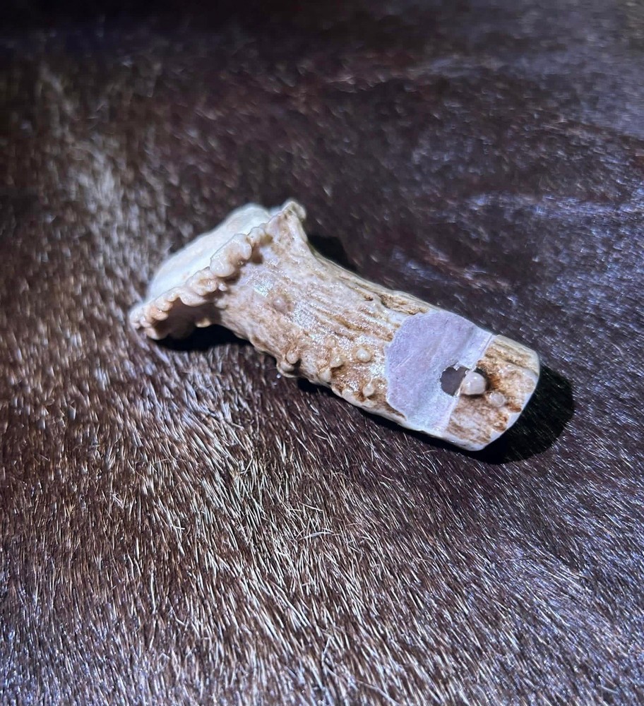 Handcrafted Whitetail Deer Antler Whistle