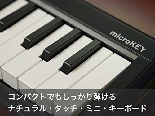 KORG Microkey-25 kMIDI Keyboard Controller USB Pass Power DTM Plug -in attached