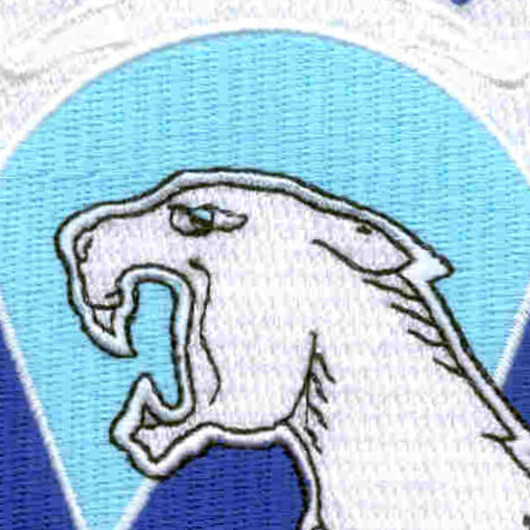 214th Aviation Battalion Patch