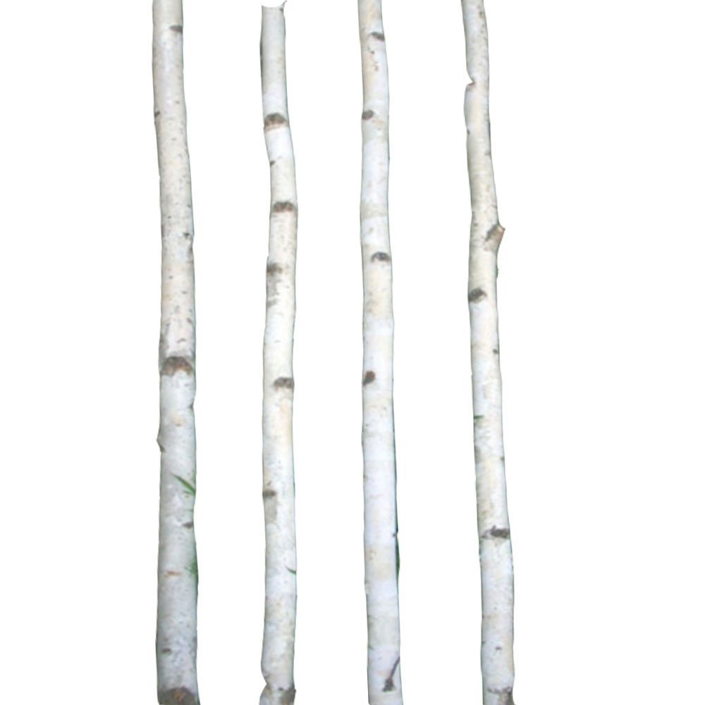 6 Thin White Birch Poles 8'
