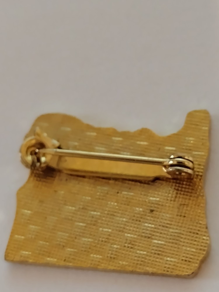 BPOE Ocean Lake Lapel Pin