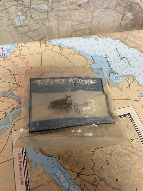 Quicksilver #10-816928 Screw