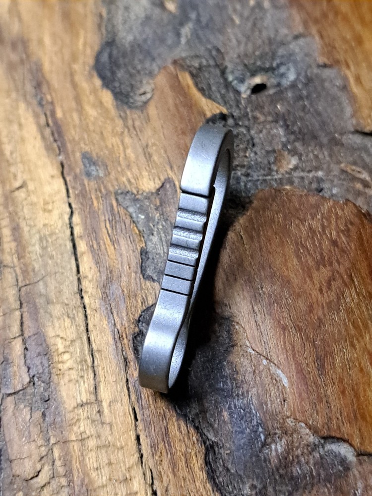 Pro Mini Series Titanium Carabiner