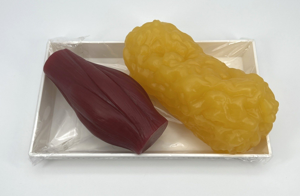 Human Body Muscle & Fat Replica 1lb with Display Base