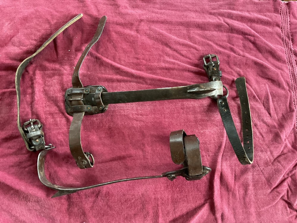 buckingham vintage pole climbers