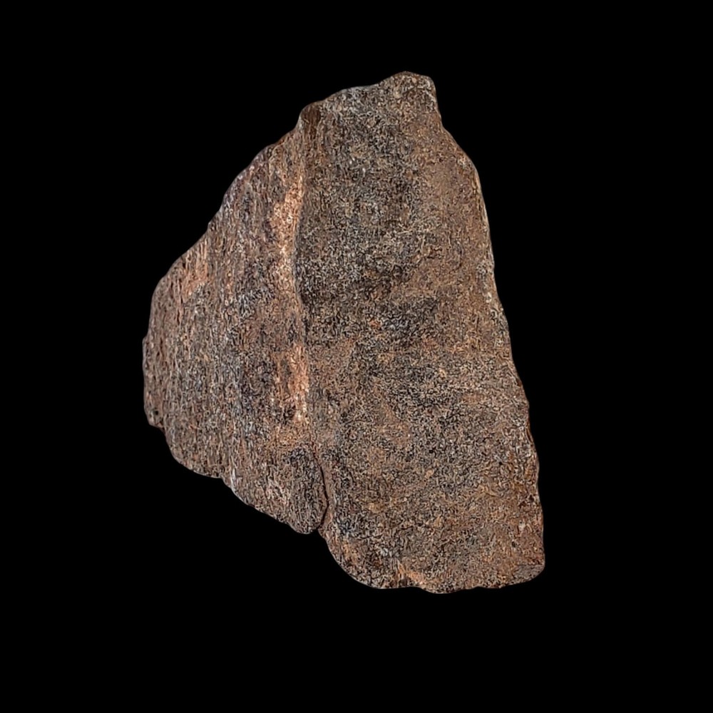 Jurassic Dinosaur Fossil Bone from Morrison Formation Includes Display