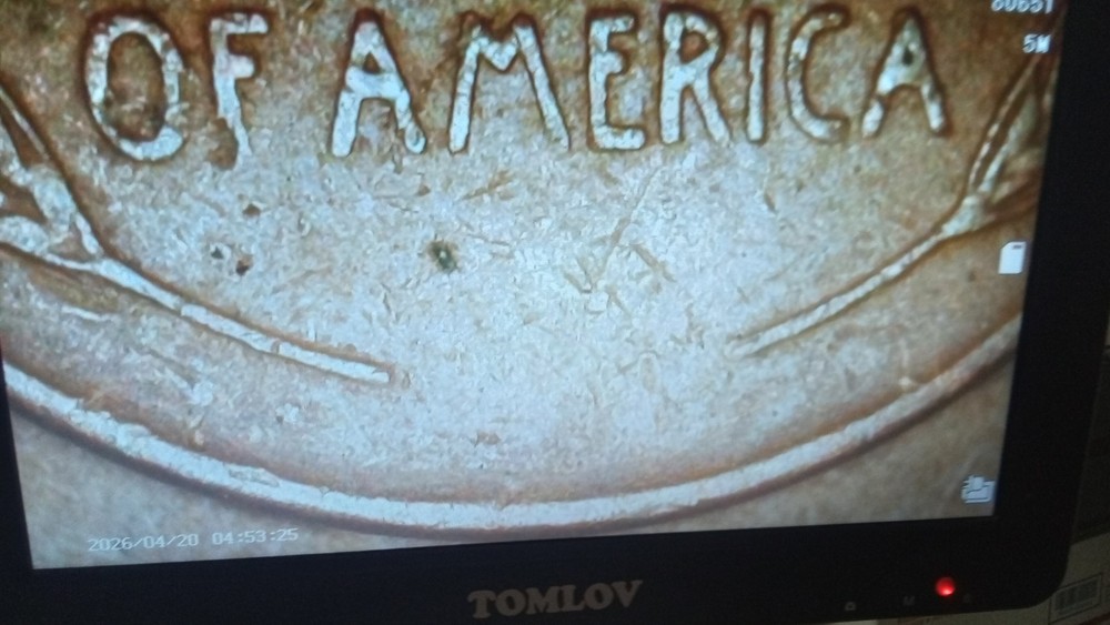 1954 D Lincoln Wheat Cent Error Coin Double Struck