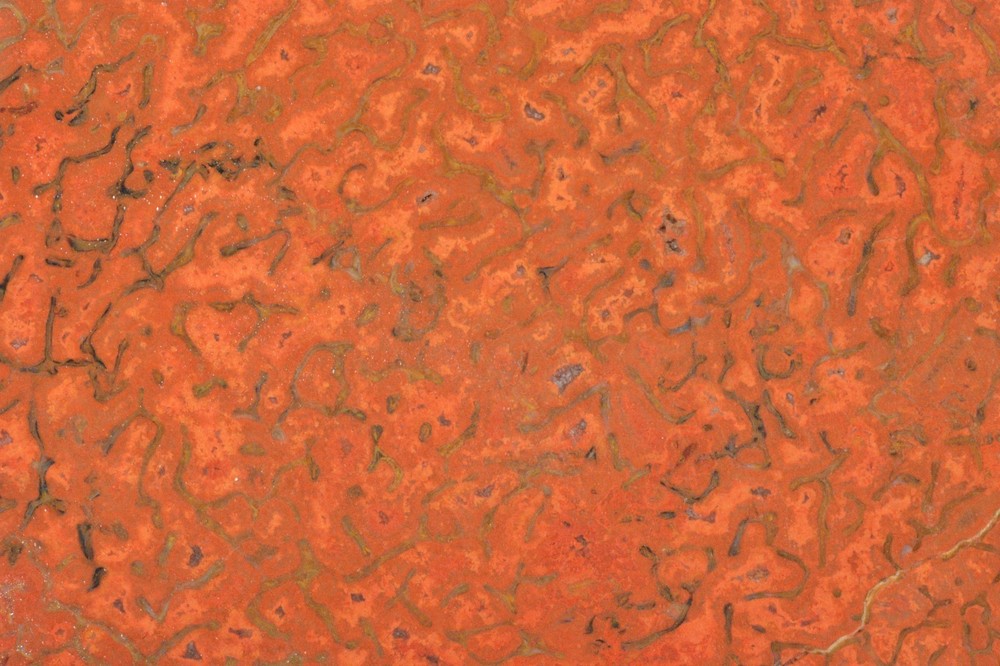 Orange Agatized Dinosaur Bone, New Mexico, 100 grams