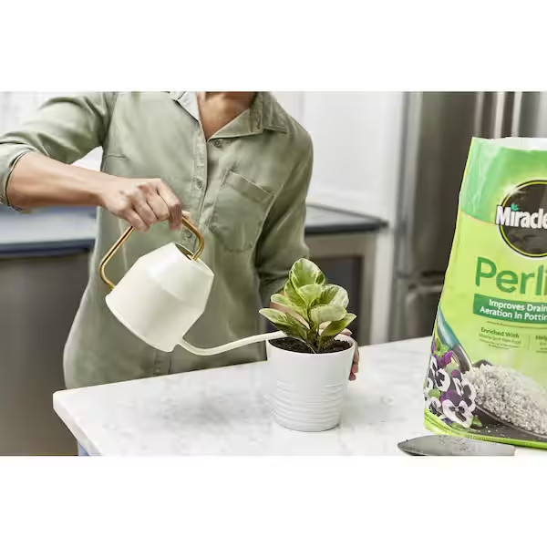 8 Qt. Perlite (2-Pack)