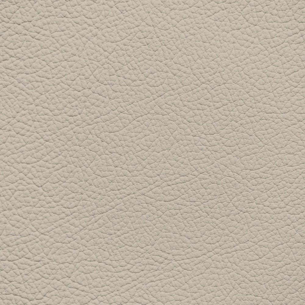 Audi Ecru Leather Dye