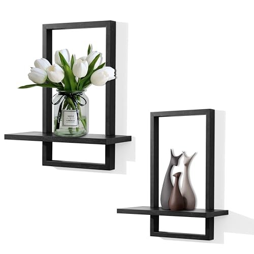 Square Floating Shelves,Plants Shelf,Framed Wall Plants Holder set of 2 Black