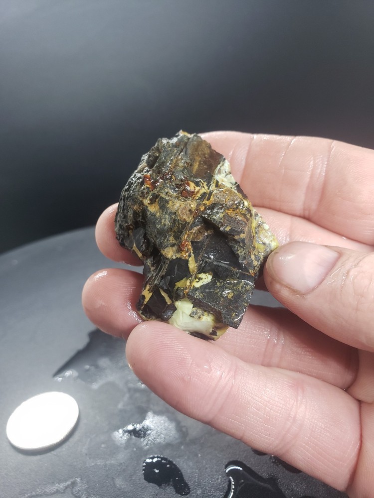 Nevada Gecko Variscite Slab