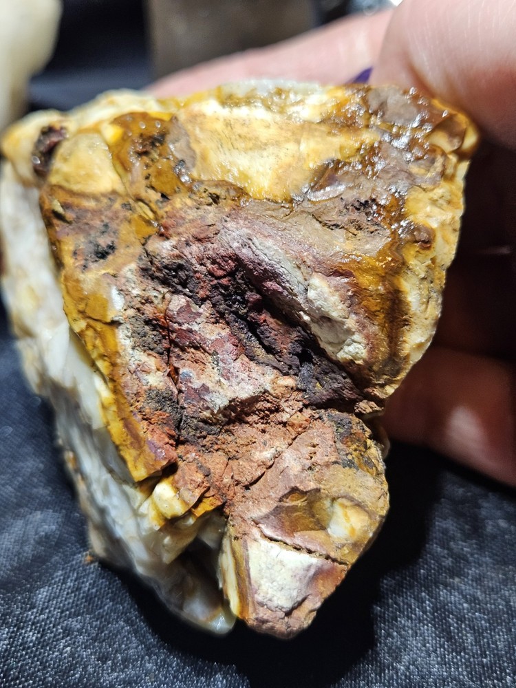 Petrified Wood Fully Opalized Natural Form (9.9oz)