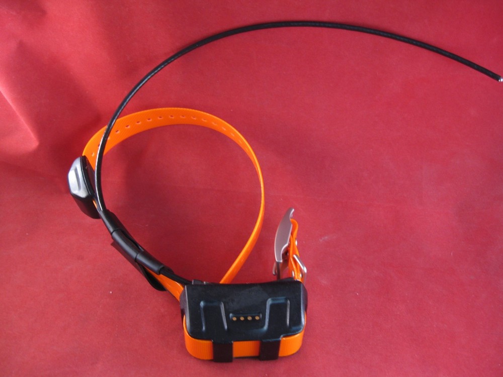 Garmin DC50 GPS Dog Tracking Collar US Version