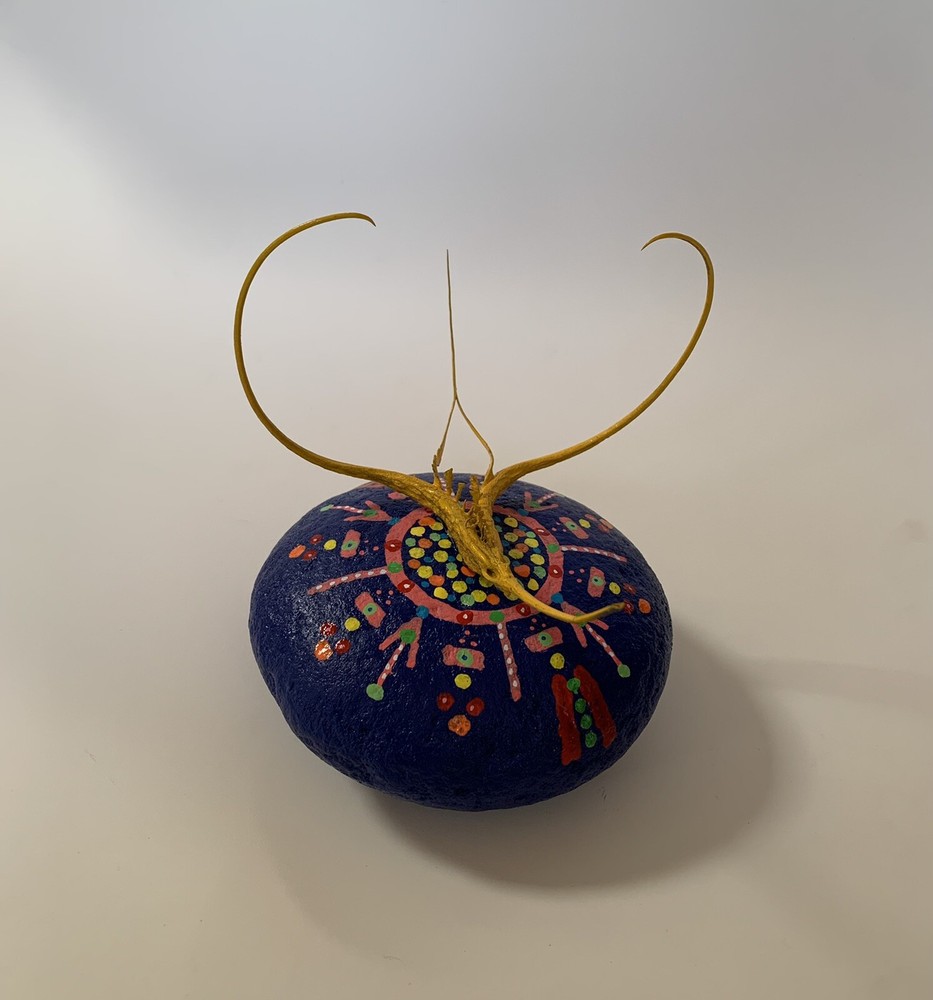 Proboscidea Devil's Claw FOLK ART SCULPTURE Painted Rock DEVIL'S Paperweight
