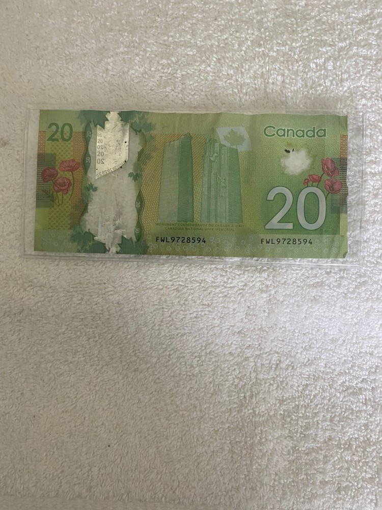 20 DOLLARS CANADA 2020