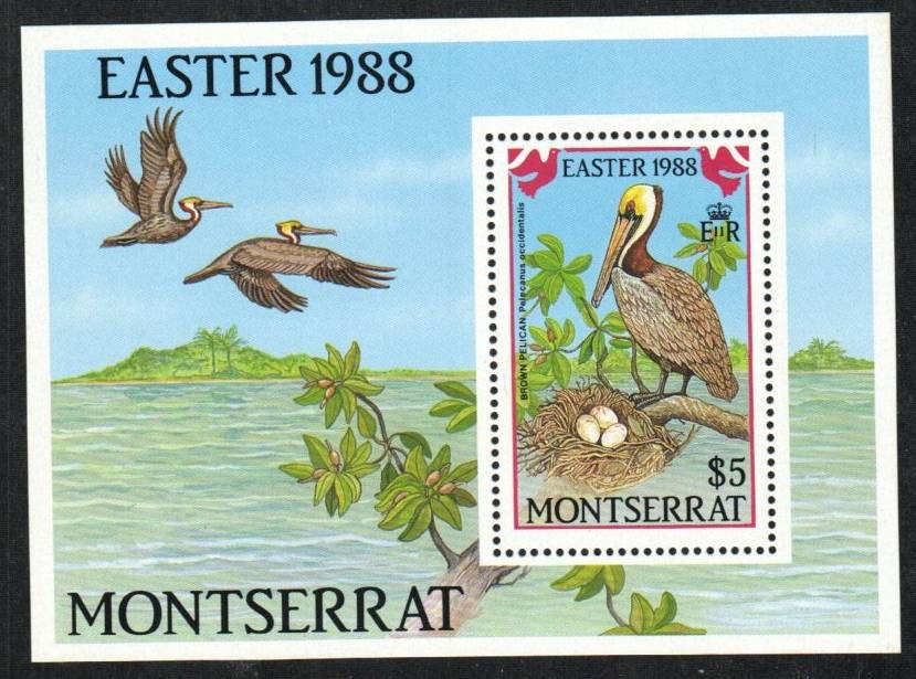 Montserrat Stamp 676  - 88 Easter;   Brown Pelican
