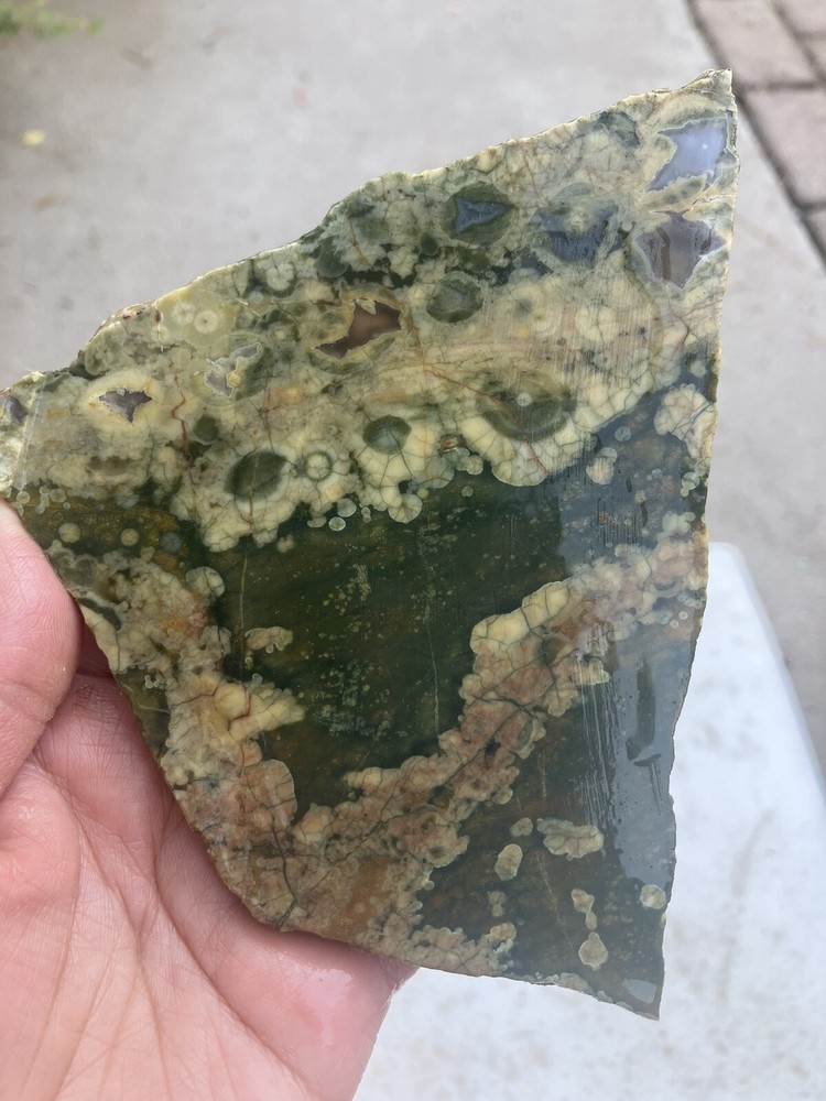 Rainforest Jasper Slab