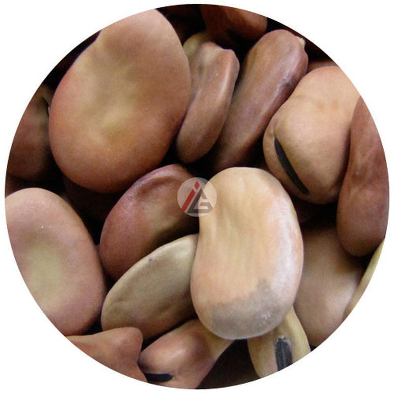 Dried Broad Beans (Fava Beans) - 1Kg
